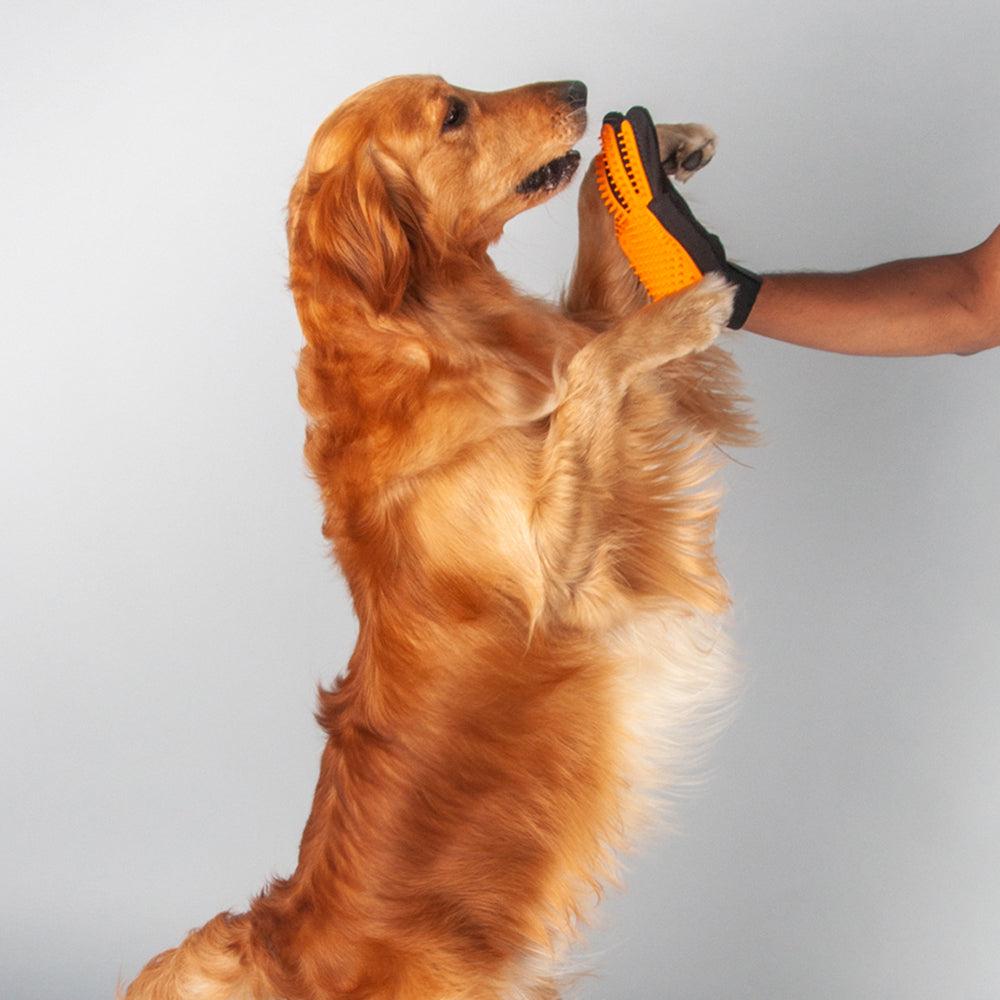 Pet Hair Remover Grooming Glove